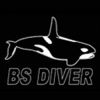 BS Diver