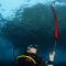 Буй для дайвінгу Mares Diver Alert Marker